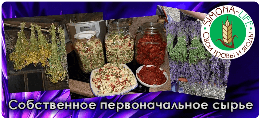 slaidi TEST Banner Alt